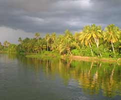 Travel Package Vagamon