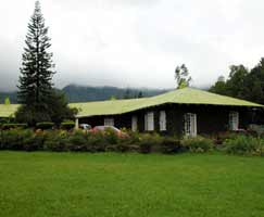 Holiday Package Vagamon