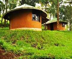 Vagamon Honeymoon Tour Package