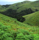 Vagamon Tour Packages